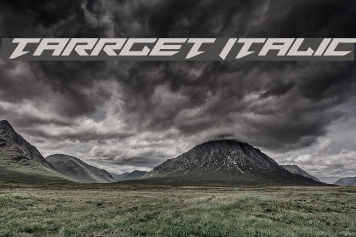 Tarrget Italic Example 2