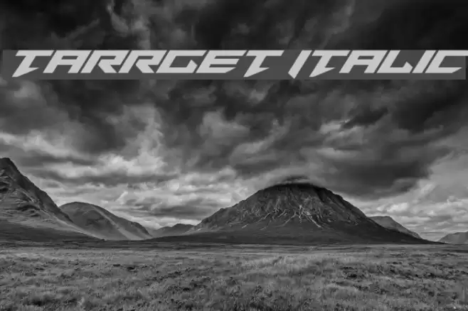 Tarrget Italic Font examples