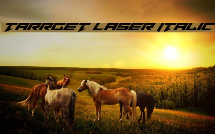 Tarrget Laser Italic Font examples