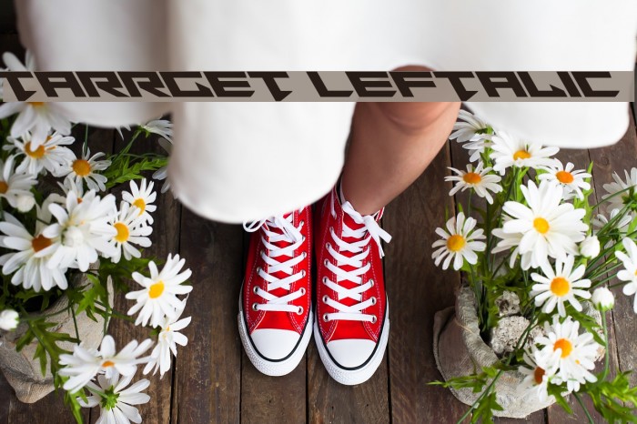 Tarrget Leftalic Font examples