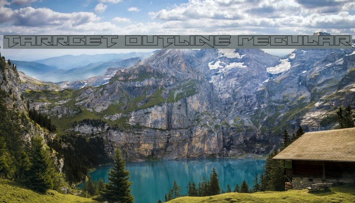 Tarrget Outline Regular Example 2