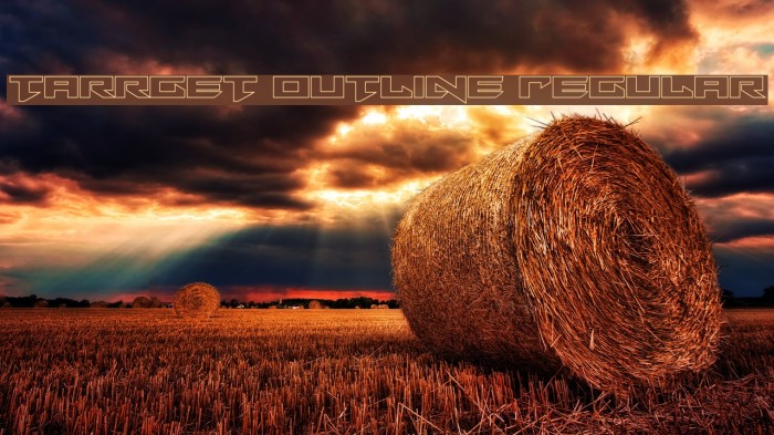 Tarrget Outline Regular Example 3