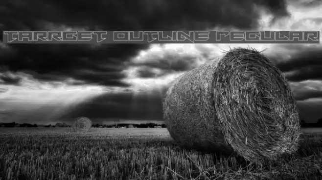 Tarrget Outline Regular Font examples