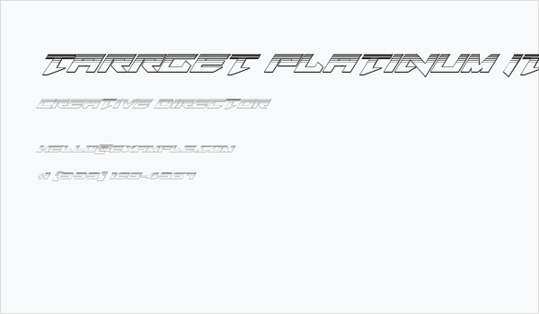 Tarrget Platinum Italic Business Card
