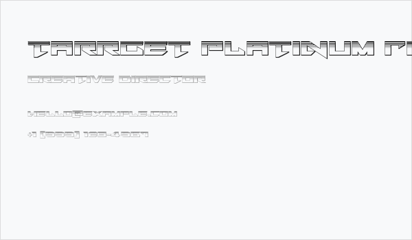 Tarrget Platinum Regular Business Card