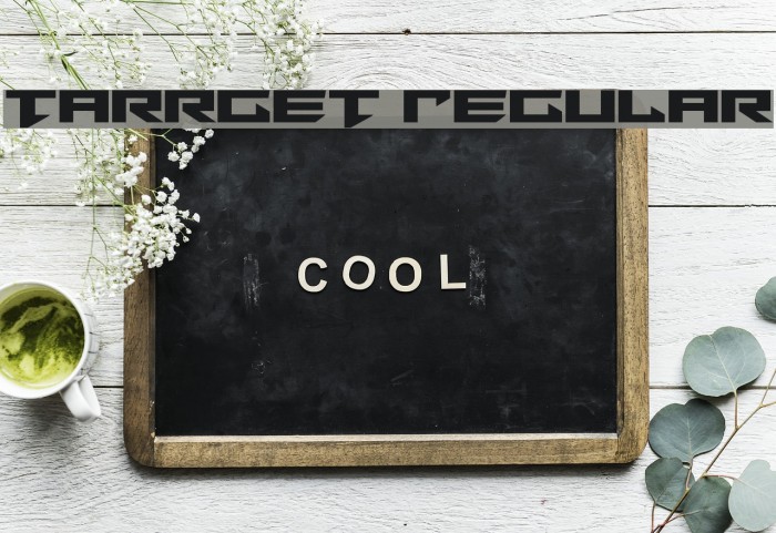 Tarrget Regular Font examples