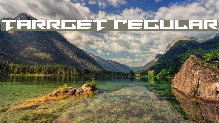 Tarrget Regular Font examples