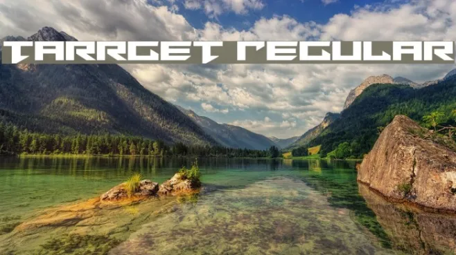Tarrget Regular Example 3
