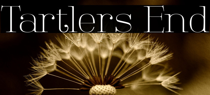 Tartlers End Font examples
