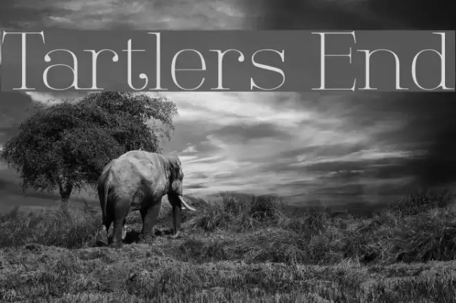 Tartlers End Font examples