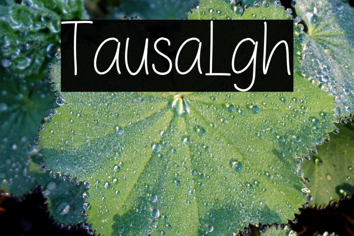 Tarusa Light Example 1