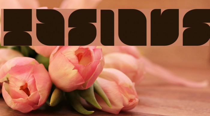 Tasious Font examples