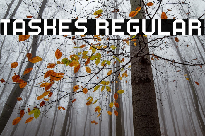 Taskes Regular Example 2