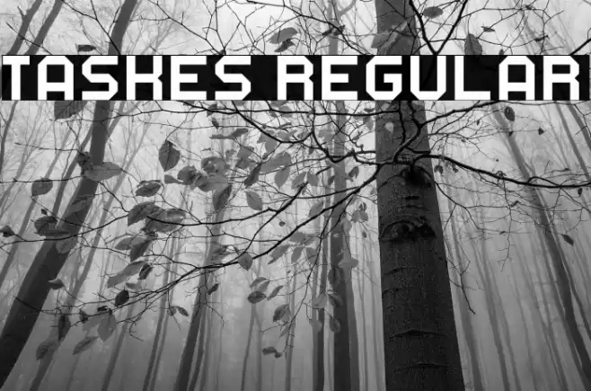 Taskes Regular Caratteri examples