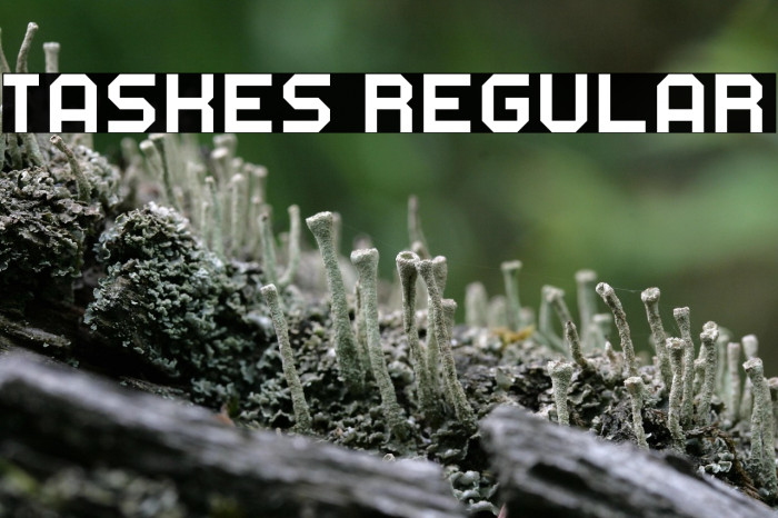 Taskes Regular Example 3