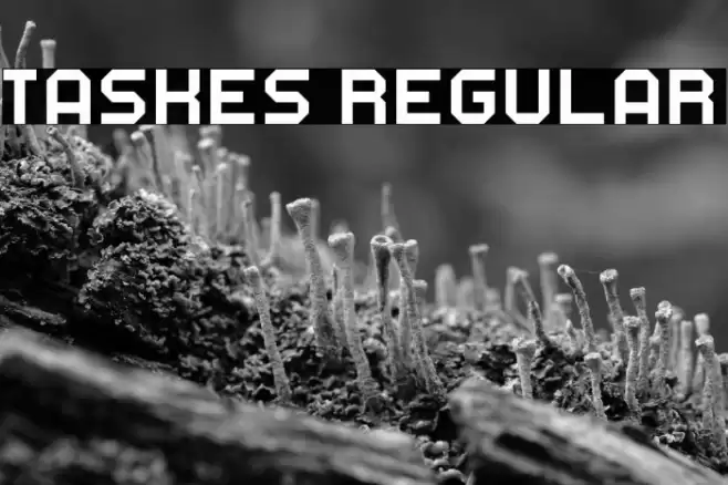 Taskes Regular Caratteri examples