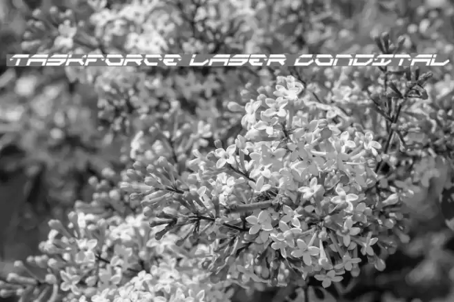 Taskforce Laser CondItal フォント examples
