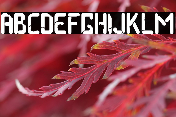 Taste Of Tradition Example 2