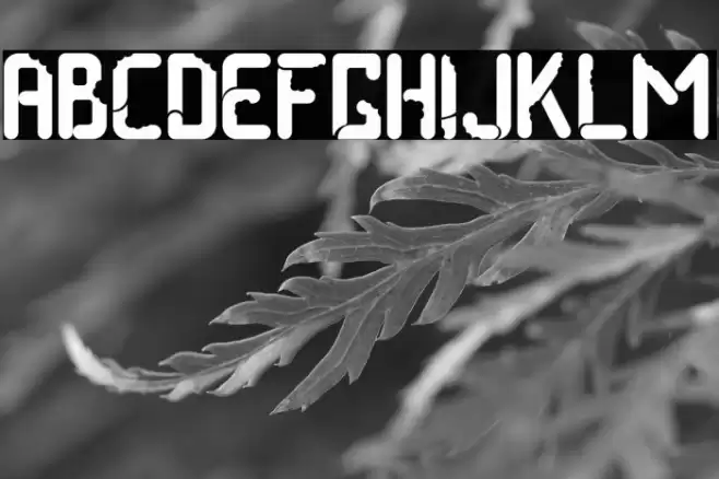 Taste Of Tradition Font examples