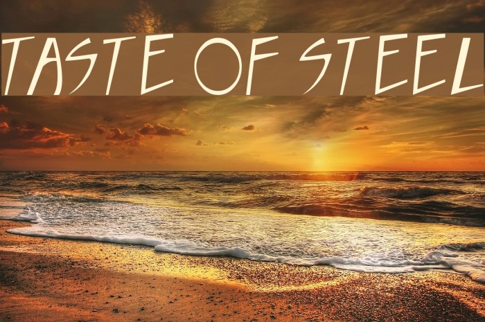 Taste of steel Шрифта examples