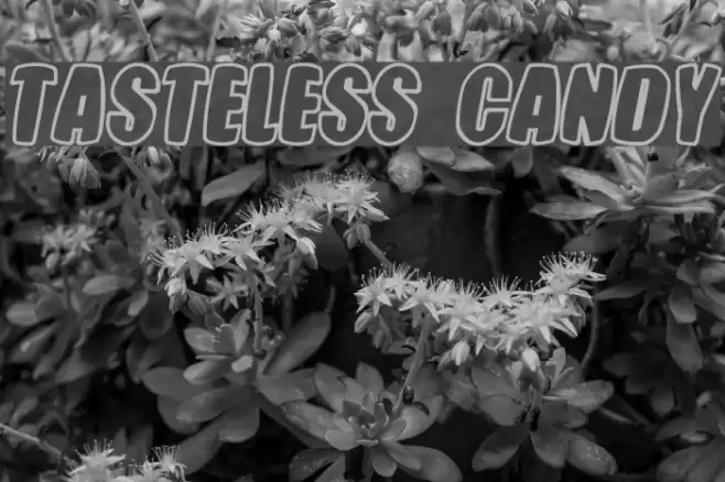 Tasteless Candy Font examples