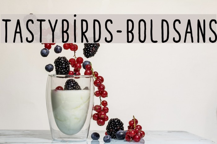 TastyBirds-BoldSans Font examples