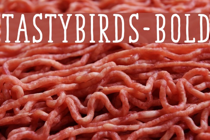 TastyBirds-Bold Example 1