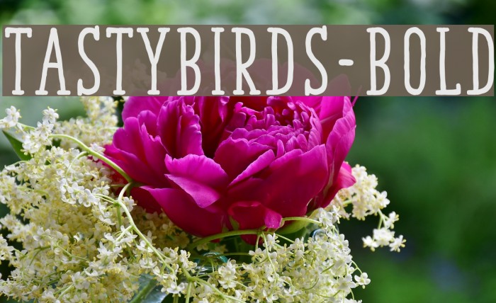 TastyBirds-Bold Example 2