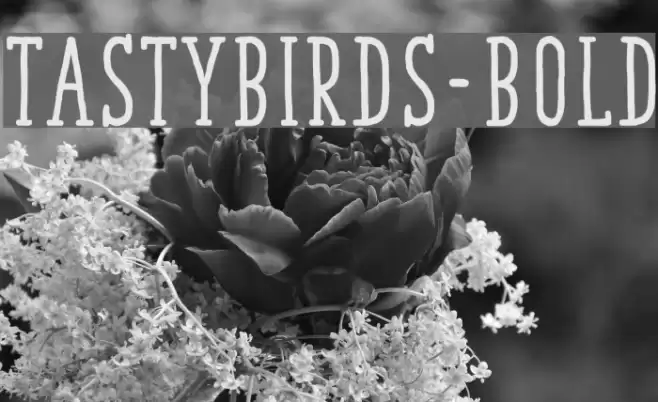 TastyBirds-Bold Font examples