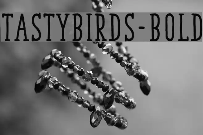 TastyBirds-Bold Font examples