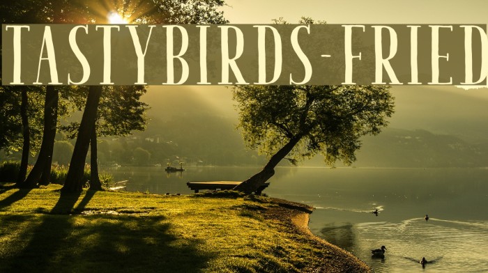 TastyBirds-Fried Font examples