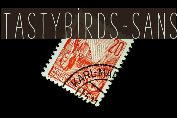 TastyBirds-Sans Font examples