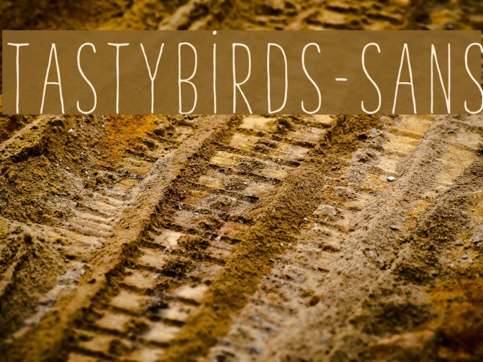 TastyBirds-Sans Font examples