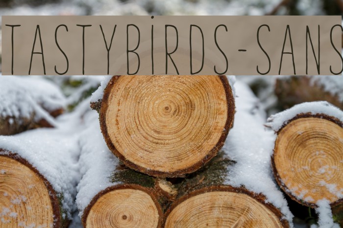 TastyBirds-Sans Font examples