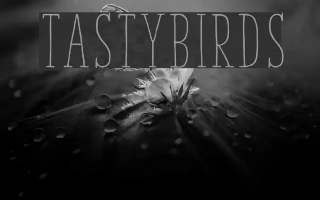 TastyBirds Font examples