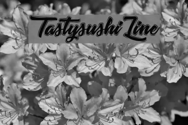 TastysushiLine Font examples