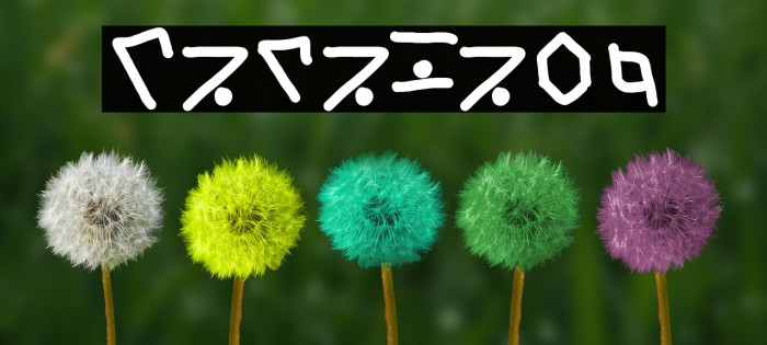 TataLang Font examples