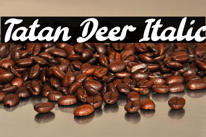 Tatan Deer Italic Example 1
