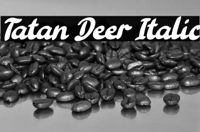 Tatan Deer Italic Font examples