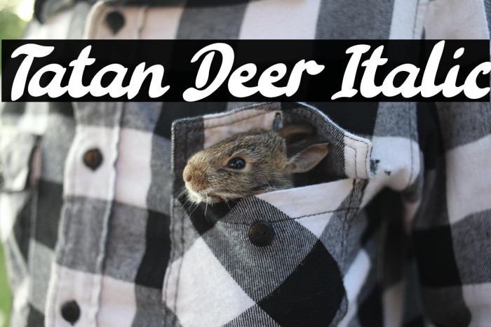 Tatan Deer Italic Example 2