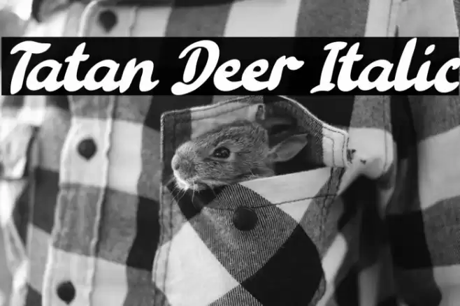 Tatan Deer Italic Font examples