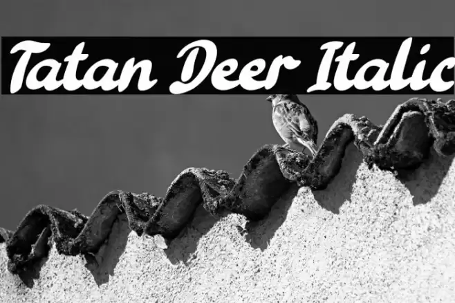 Tatan Deer Italic Font examples