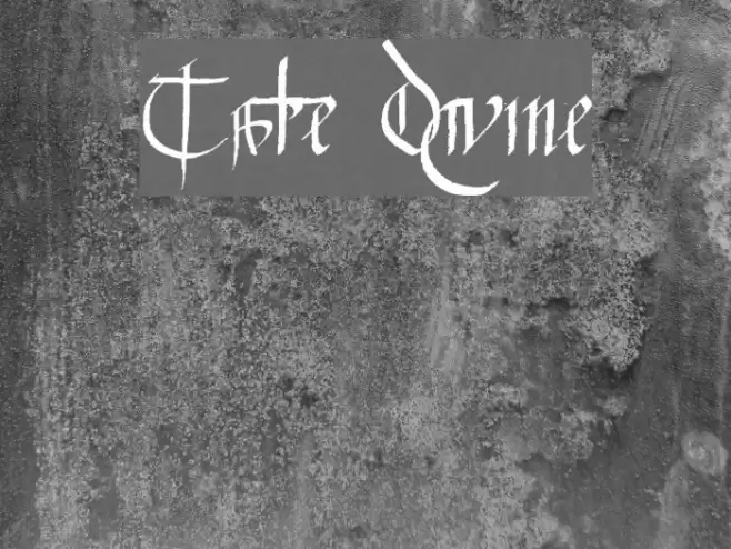 Tate Divine Font examples