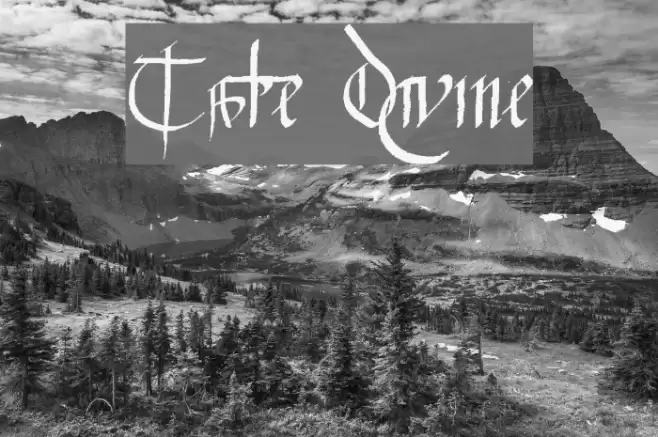 Tate Divine Font examples