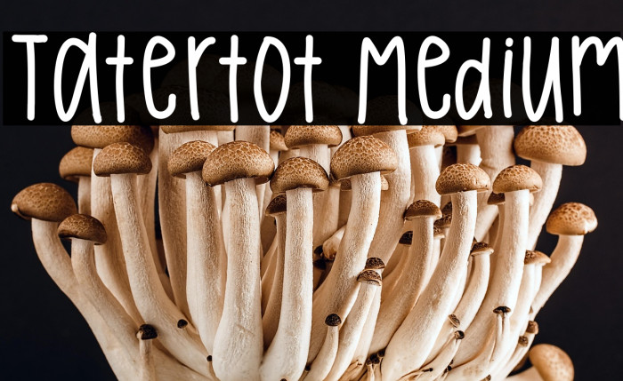 Tatertot Medium Example 1