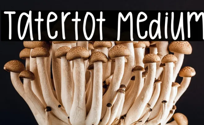 Tatertot Medium Example 1