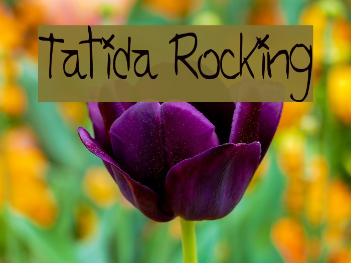 Tatida Rocking Font examples