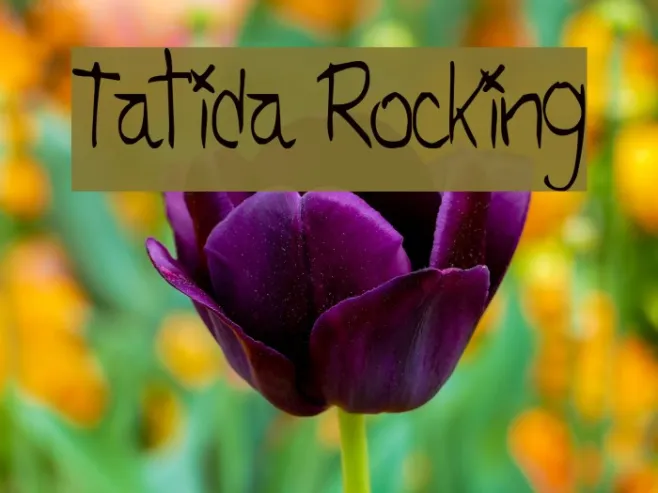 Tatida Rocking Example 2