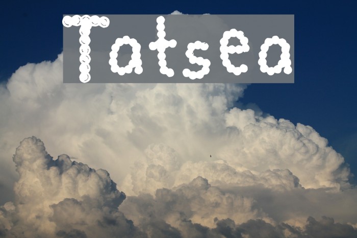 Tatsea Example 2