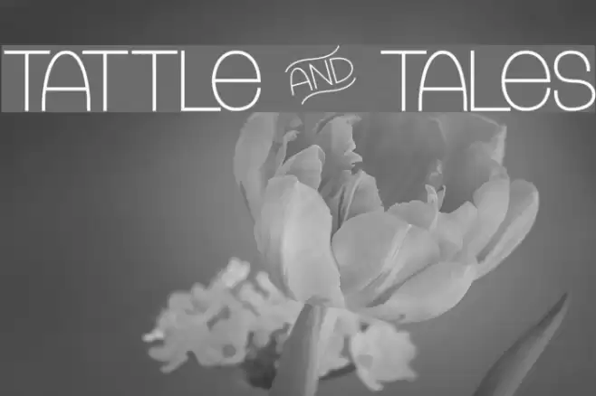 Tattle & Tales Font examples